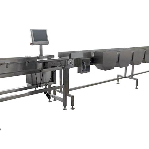 Chain-type multistage weight sorting machine