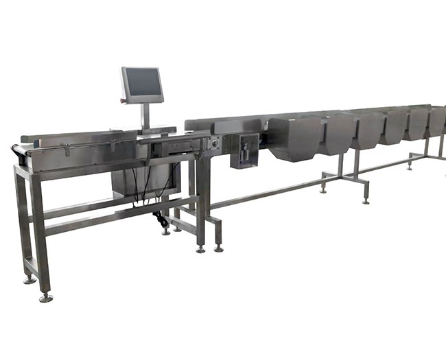Chain-type multistage weight sorting machine